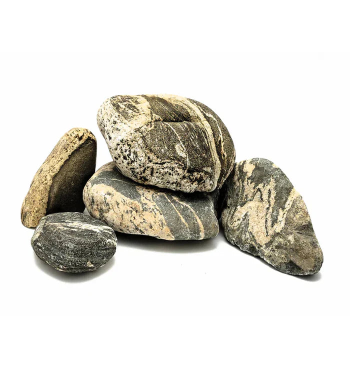 New Aquarium Supplies: New Aquarium Fish & Coral Supplies at