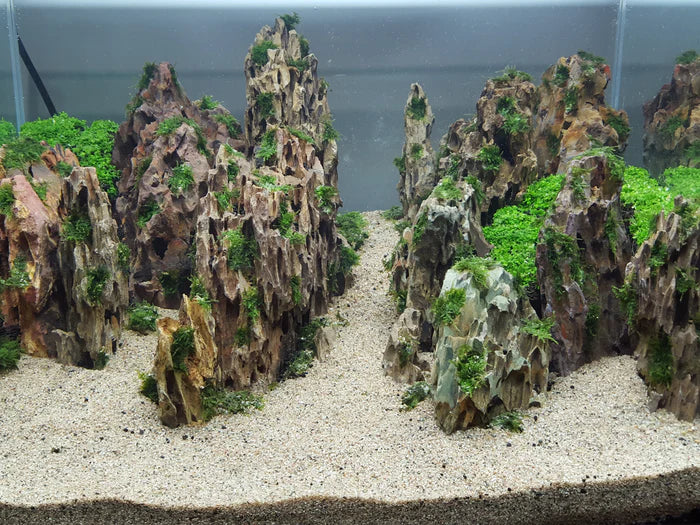 Dragon Ohko Rock Kit