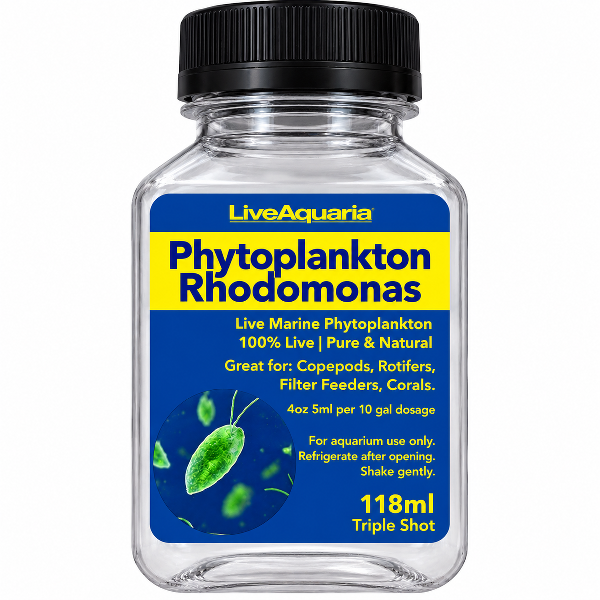 Phytoplankton Rhodomonas