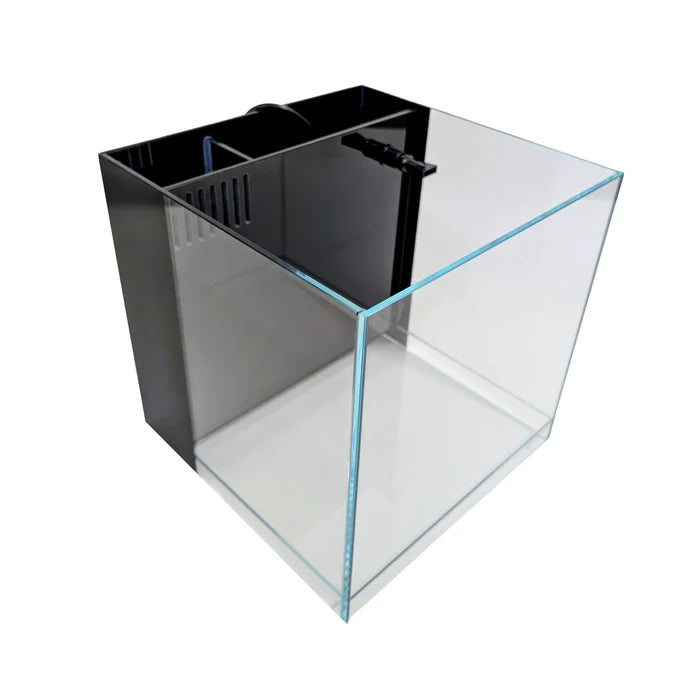 Lifegard Elevated All in One Aquarium Kits