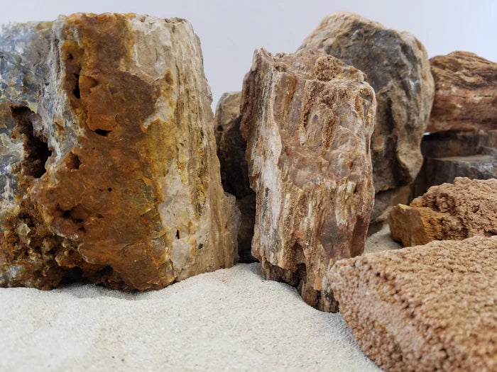 Canyon Petrified Stone Kit