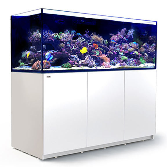 Red Sea REEFER™ XXL 750 Rimless Reef Ready System, White – LiveAquaria