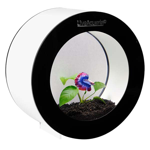 LiveAquaria® Orbi Aquarium