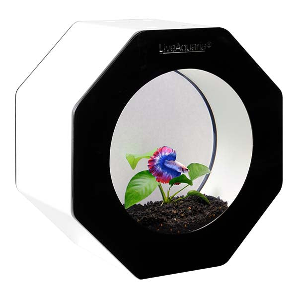 LiveAquaria® Octi Aquarium