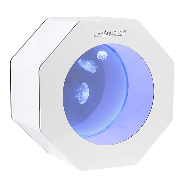 LiveAquaria® Octi Aquarium