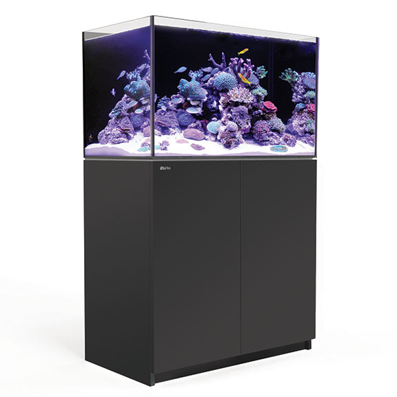 水槽 BRN32 Red Sea Reefer 250 Red Sea REEFER 250 65G System - Black – LiveAquaria