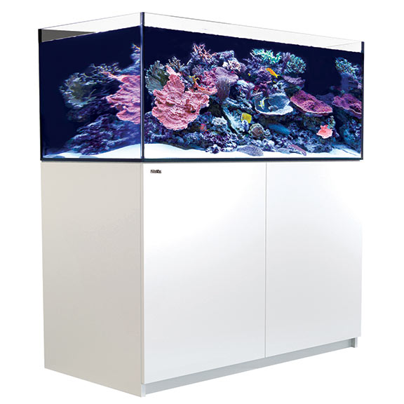 Red Sea REEFER™ XL 425 - White – LiveAquaria