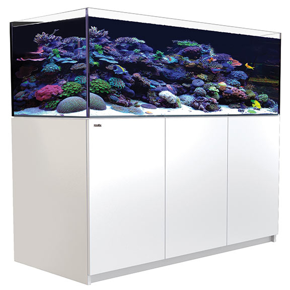 Red Sea REEFER™ XL 525 - White – LiveAquaria