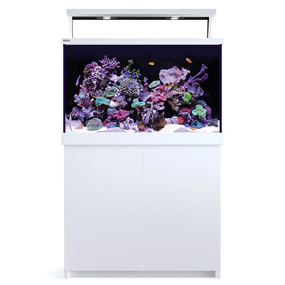 Red Sea 大型ガラス水槽 ホワイト Red Sea MAX® S-Series 400 - White – LiveAquaria