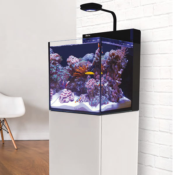 Red Sea MAX® NANO Reef System - White
