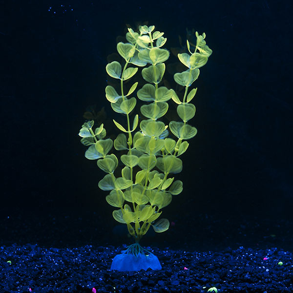 Tetra GloFish® Large Yellow Aquarium Plant