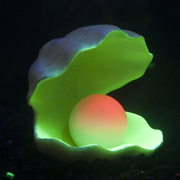 GloFish® Color-Changing Clam