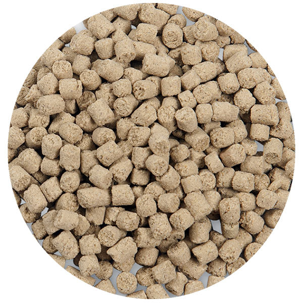 Aqueon® Shrimp Pellets