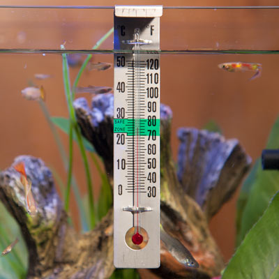 Hagen Glass Thermometer