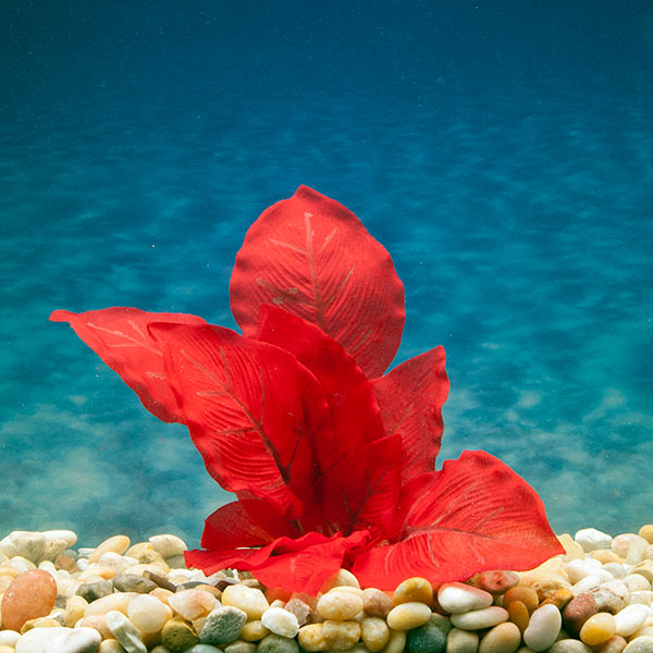 Azoo Real Plant Artificial Anubias - Red