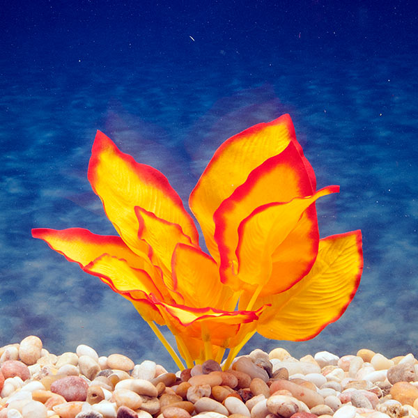 Azoo Real Plant Artificial Anubias - Orange