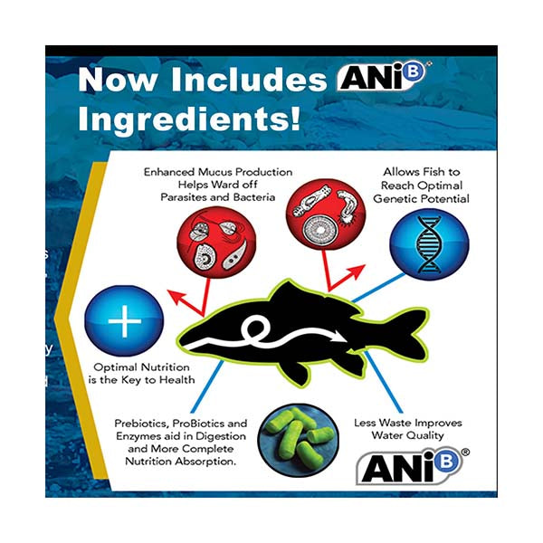 Blackwater Max Growth Premium Koi & Goldfish Food, Small Pellets