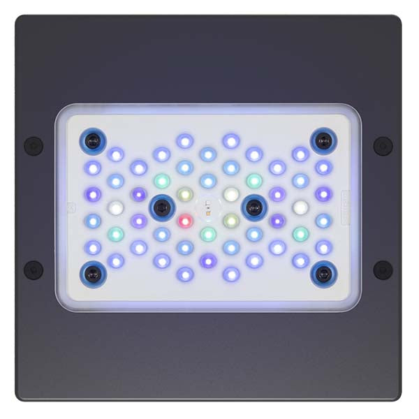 ライト・照明器具 EcoTech Marine Radion G5 XR15 Blue EcoTech Marine Radion XR15 G5 Blue LED Light Fixture | Aquarium