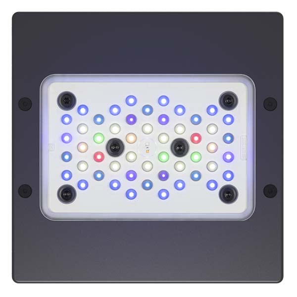 EcoTech Marine Radion XR15 G5 Pro LED Light Fixture | Aquarium EcoTech Marine Radion XR15 G5 Pro LED Light Fixture | Aquarium