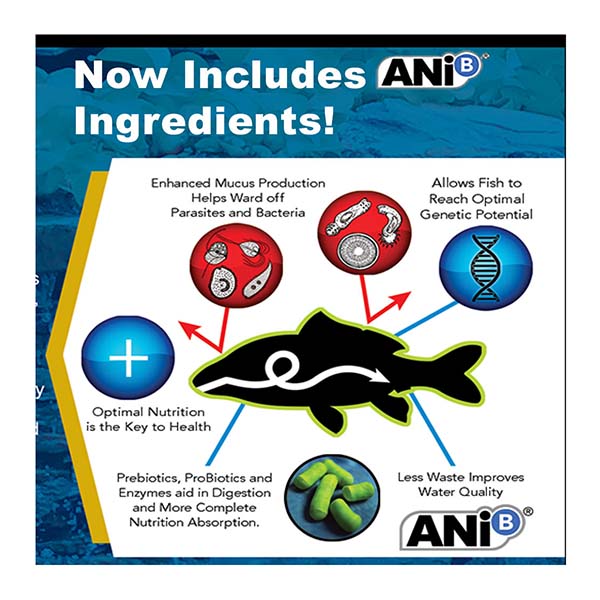 Blackwater Color Large Pellet Food, 40 lbs