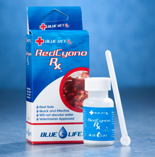 BlueLife™ Red Cyano Rx