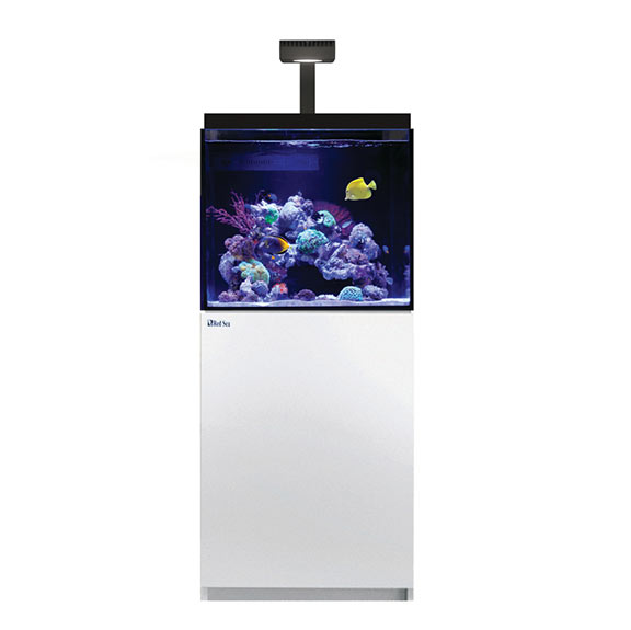 Red Sea MAX® E-Series 170 - White – LiveAquaria