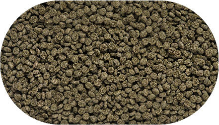 Hikari®; Seaweed Extreme