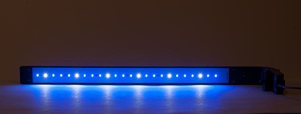 JBJ Flat Panel Peninsula Rimless Desktop Aquarium