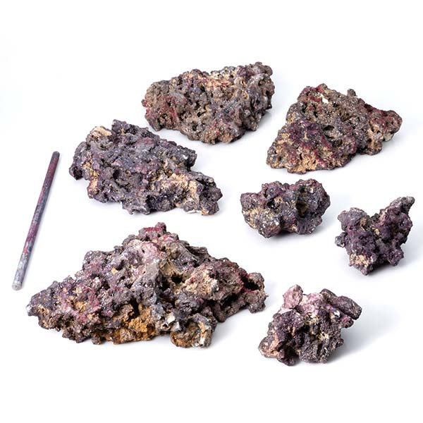 Caribsea® LifeRock Coral Tree