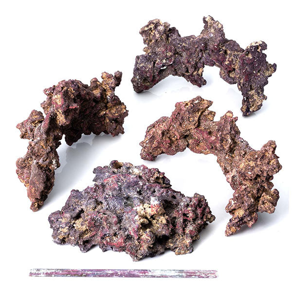 Caribsea® LifeRock Reef Tree