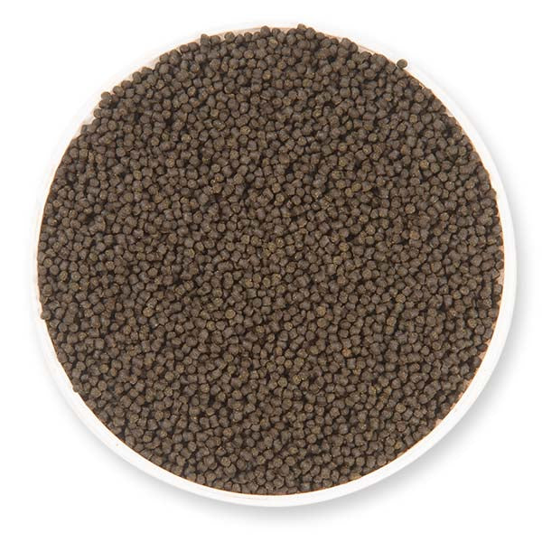Ocean Nutrition Formula Two Pellets Fish Food - Small Pellet Size