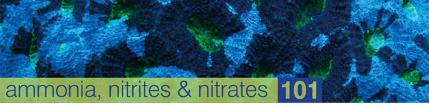 Basic Water Chemistry Part 3: Ammonia, Nitrites and Nitrates