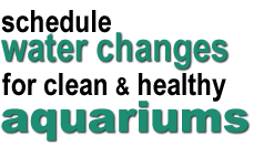 Simplify aquarium water changes with the right tools