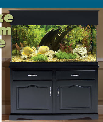 Aquarium Stands and Canopies  Showcase Your Aquarium with Aquarium