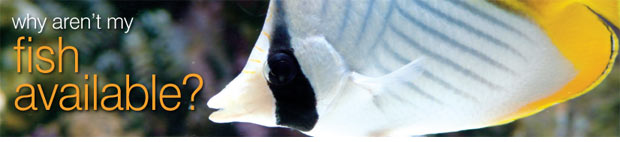 Factors Affecting Availability of Aquatic Life