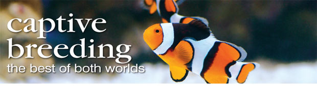 Captive-Bred Aquatic Life: Combining Conservation with Convenience