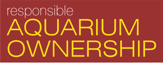 Ethical Aquarium Ownership