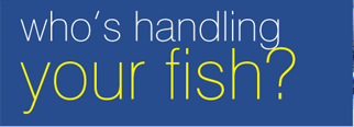 An Inside Look at the Marine Fish Industry: How Improper Handling Affects You and the Environment