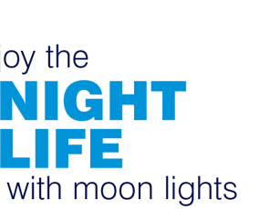 Nocturnal Lights Simulate Moonlight