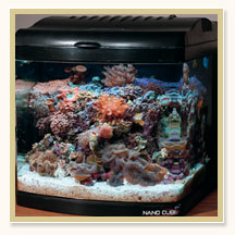 Nano Cube Aquarium