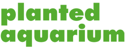 Caring for Your Live Plant Aquarium