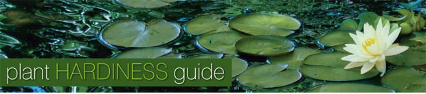 Plant Hardiness Guide