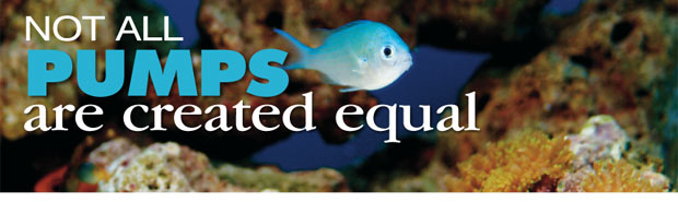 Selecting the Right Water Pump for your Aquarium