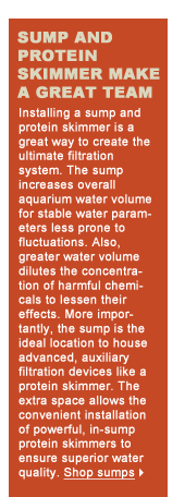 Sump and protein skimmer make a great team