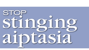 Eliminating Stinging Aiptasia sp.