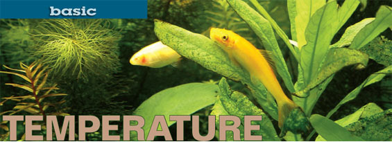 Factors That Affect Water Temperature