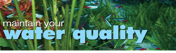 Water Quality: How to Maintain It