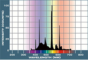 10,000°K Spectral Graph
