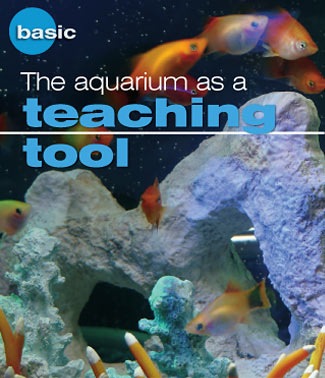 The aquarium as a teaching tool.
