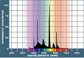 20,000°K Spectral Graph